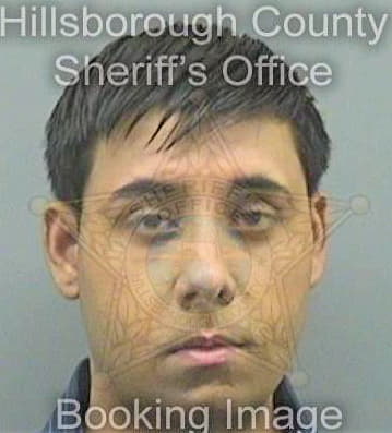 Patel Ritesh - Hillsborough County, FL 