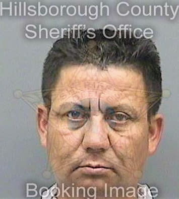 Mejia Victor - Hillsborough County, FL 