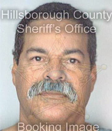 Pizarro Roberto - Hillsborough County, FL 