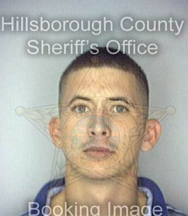 Mills Bradley - Hillsborough County, FL 