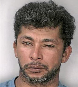 Borges Wilson - Hillsborough County, FL 