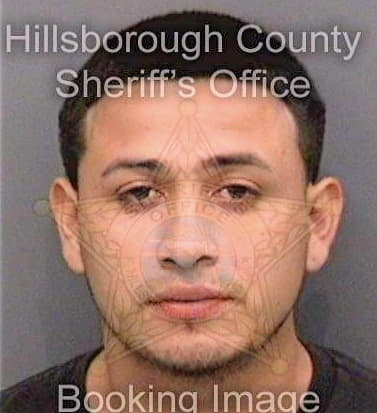 Castro Daniel - Hillsborough County, FL 