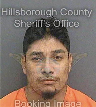 Tepetatezamora Ivan - Hillsborough County, FL 