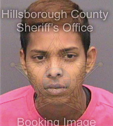 Haimraj Janelle - Hillsborough County, FL 