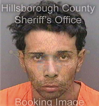 Sanchezcolon Omar - Hillsborough County, FL 