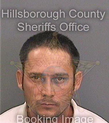 Dieguez-Leyva Yendry - Hillsborough County, FL 