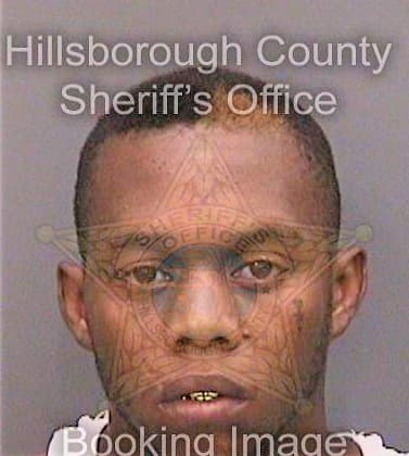Blaylock Andre - Hillsborough County, FL 