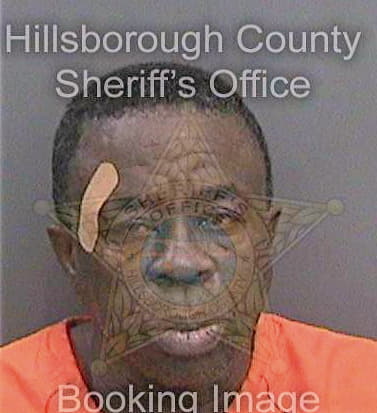 Nedrick Byron - Hillsborough County, FL 