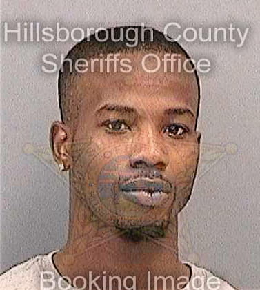 Lewis Demarcus - Hillsborough County, FL 