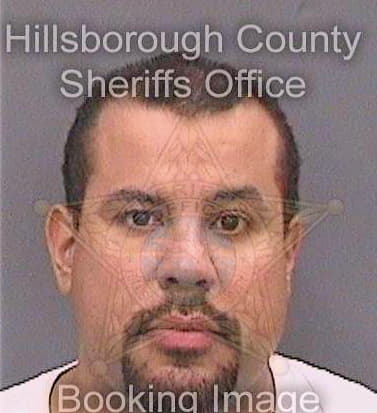 Medinasanchez Jose - Hillsborough County, FL 