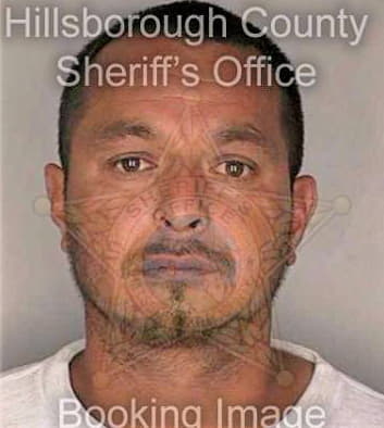 Castaneda Roy - Hillsborough County, FL 