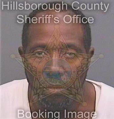 Mckinnis Melvin - Hillsborough County, FL 