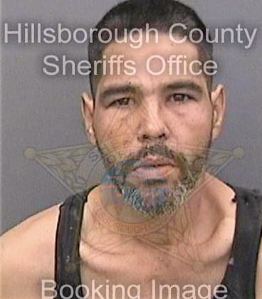 Gonzalezrivas Agustin - Hillsborough County, FL 