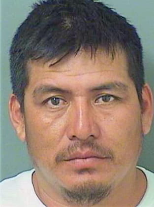 Hernandez Fabian - PalmBeach County, FL 