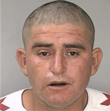 Mejia Pedro - Hillsborough County, FL 
