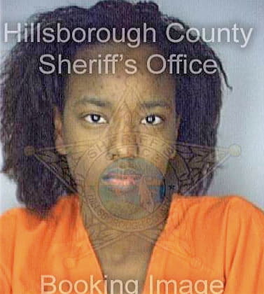 Simmons Tamaka - Hillsborough County, FL 