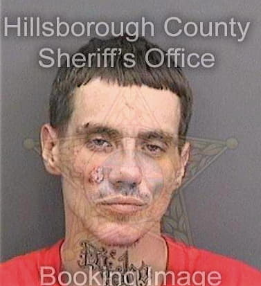 Sullivan Carlos - Hillsborough County, FL 