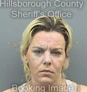 Mckinley Lisa - Hillsborough County, FL 