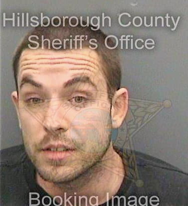 Bulmer Matthew - Hillsborough County, FL 