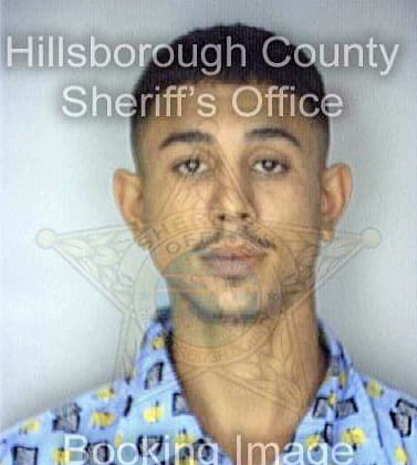 Gomez Candido - Hillsborough County, FL 