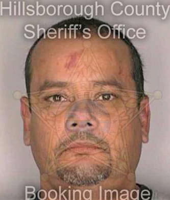 Santiago Armando - Hillsborough County, FL 