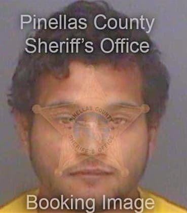 Marino Donizete - Pinellas County, FL 