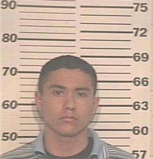 Garcia David - Hidalgo County, TX 