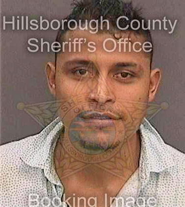 Jaramillomoreno Omar - Hillsborough County, FL 