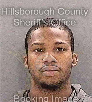 Nazaire Louis - Hillsborough County, FL 