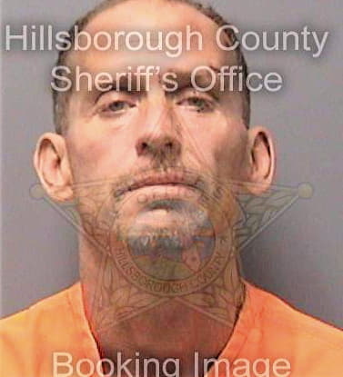 Friley David - Hillsborough County, FL 