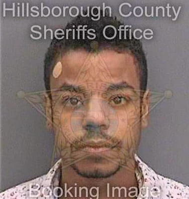 Lockhart Scott - Hillsborough County, FL 