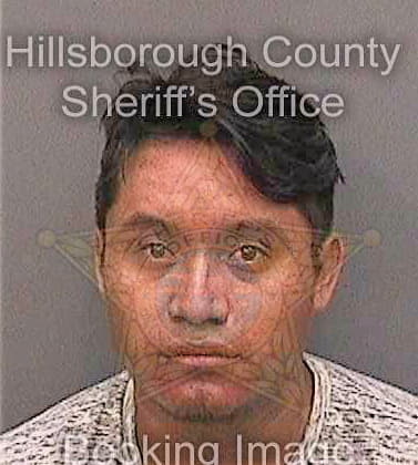 Ramirezrojas Daniel - Hillsborough County, FL 