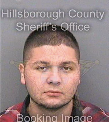 Dominguez Homero - Hillsborough County, FL 