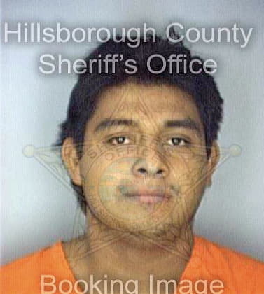 Villeda Noel - Hillsborough County, FL 