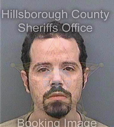 Lizardi Christopher - Hillsborough County, FL 