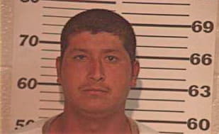 Hernandez Jerry - Hidalgo County, TX 