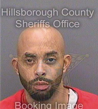 Smith Brian - Hillsborough County, FL 