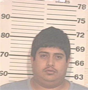 Ramirez Joseph - Hidalgo County, TX 