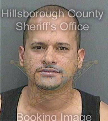 Perez Hector - Hillsborough County, FL 