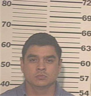 Hernandez Moises - Hidalgo County, TX 