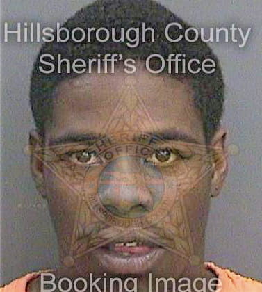 Mccauley James - Hillsborough County, FL 