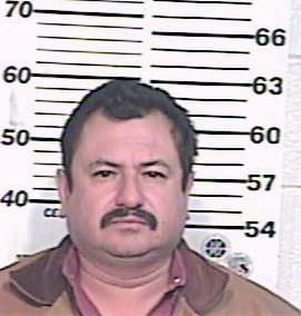 Espinoza Joel - Hidalgo County, TX 