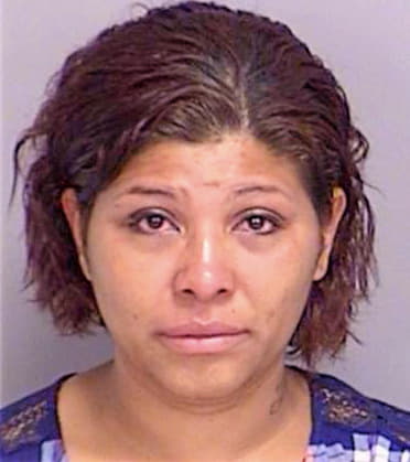 Hernandez Debra - Brazos County, TX 