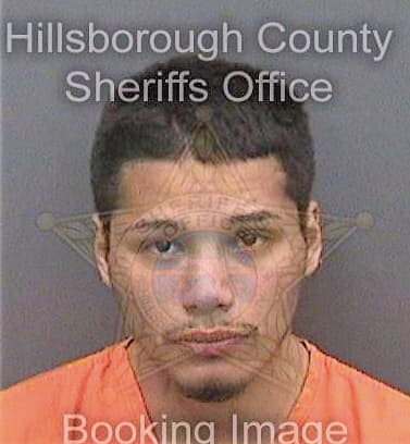 Garcia Felipe - Hillsborough County, FL 