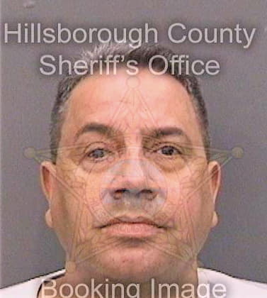 Velez David - Hillsborough County, FL 