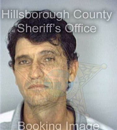 Lujanalomo Humberto - Hillsborough County, FL 