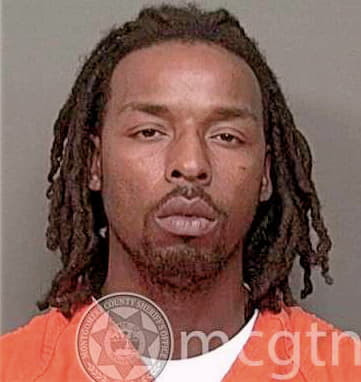Anderson Lewis - Montgomery County, TN 