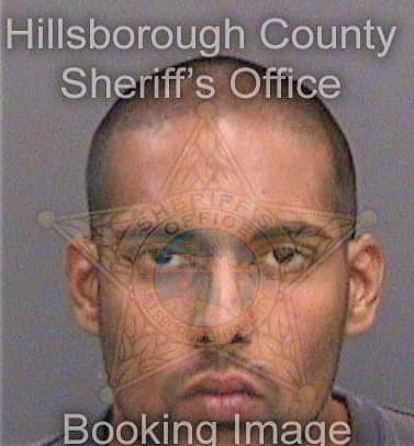 Singh Jesse - Hillsborough County, FL 