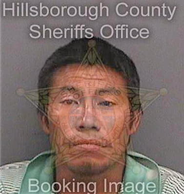 Mejias Rene - Hillsborough County, FL 