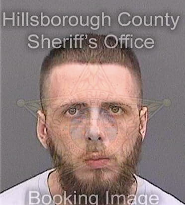 Pauley Anthony - Hillsborough County, FL 